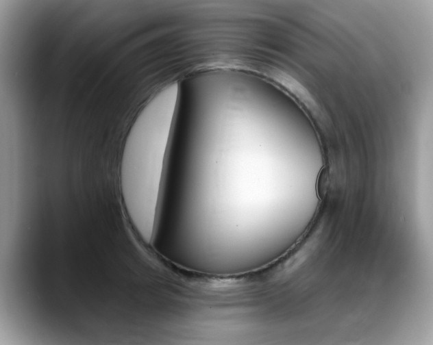 X0000088890849200706080805