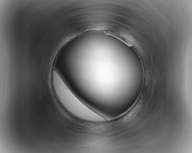 X0000088890850200706080805