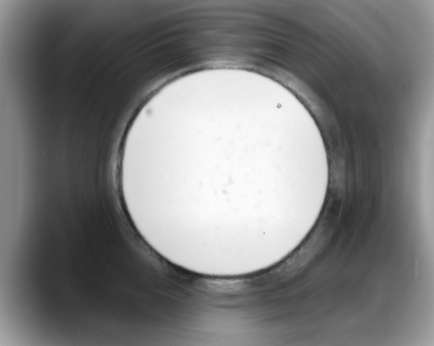 X0000088890856200706080805