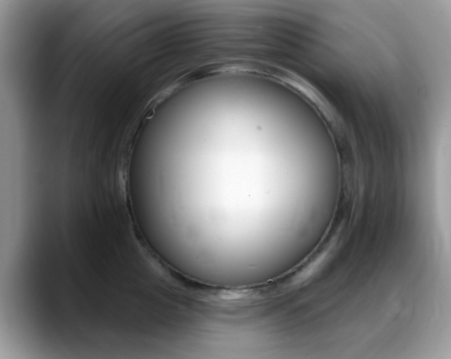 X0000088890857200706080805