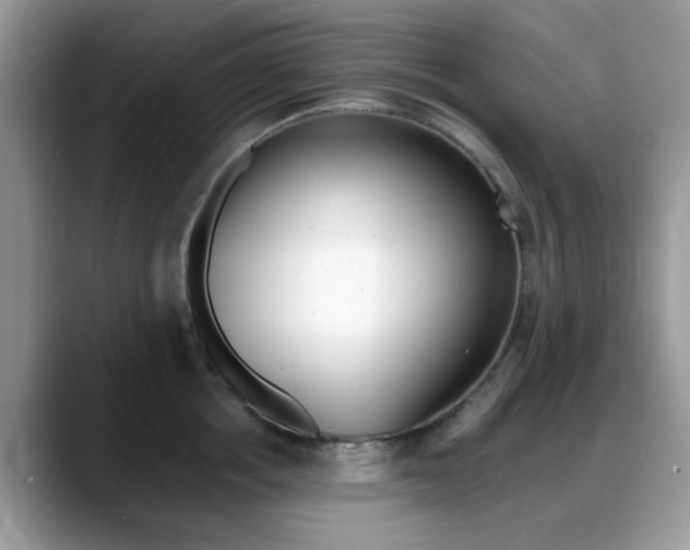 X0000088890858200706080805