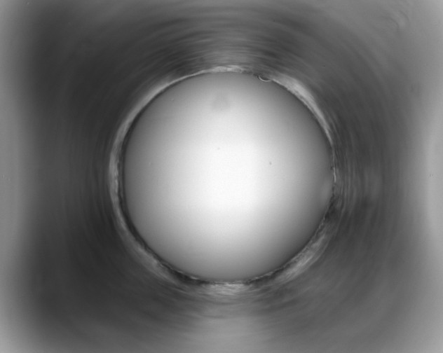 X0000088890859200706080805
