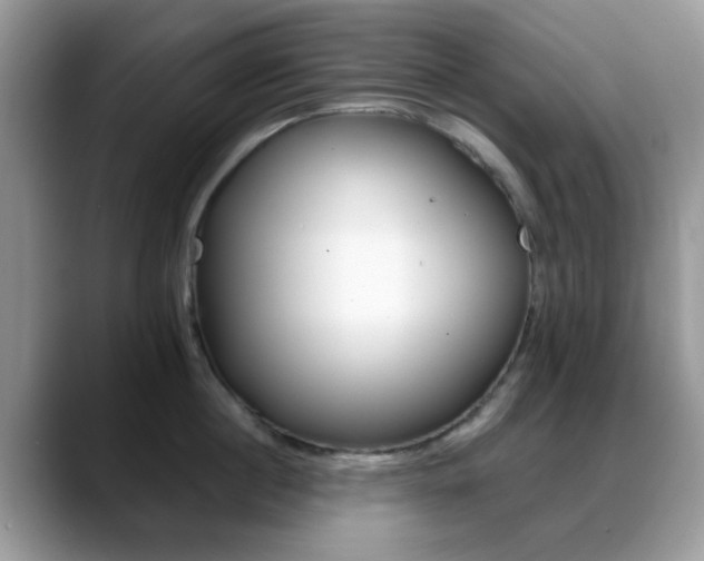 X0000088890860200706080805