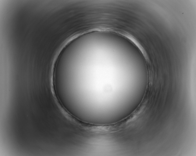 X0000088890861200706080805