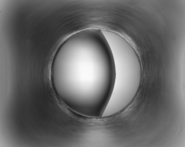 X0000088890862200706080805