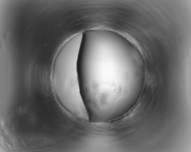 X0000088890863200706080805