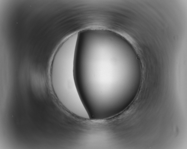 X0000088890864200706080805