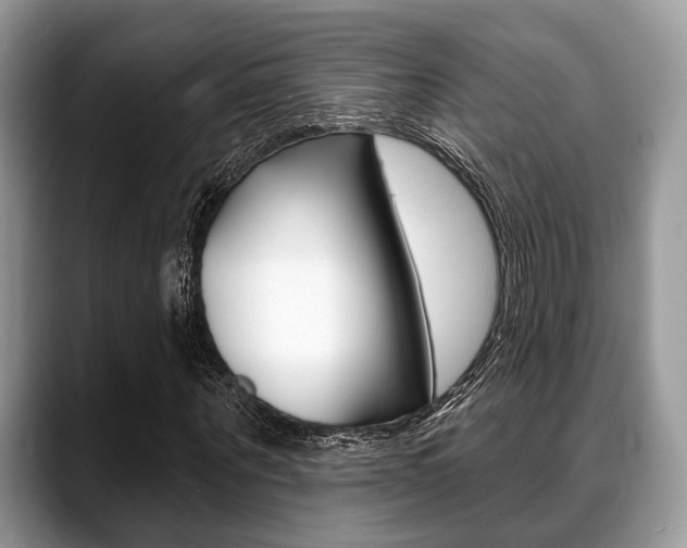 X0000088890867200706080804