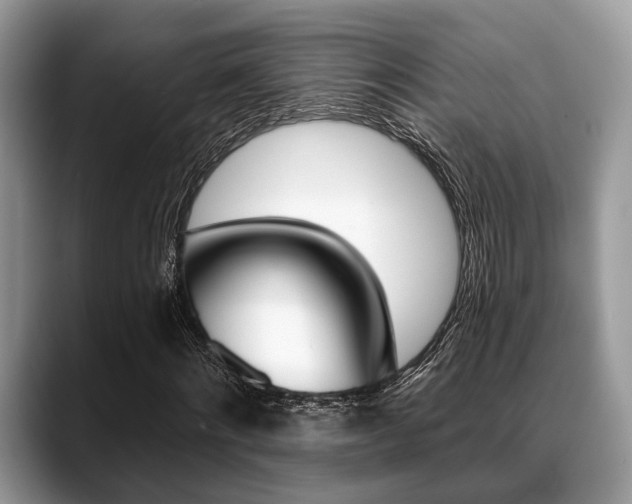 X0000088890868200706080804