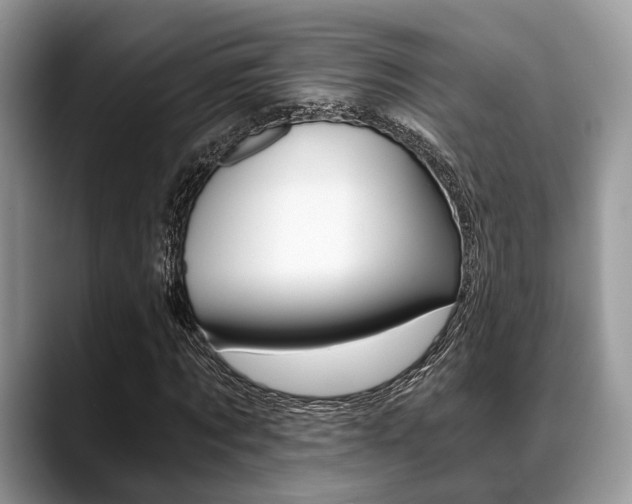 X0000088890869200706080804