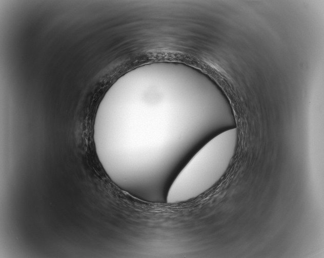 X0000088890870200706080804