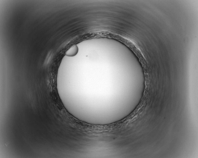 X0000088890871200706080804