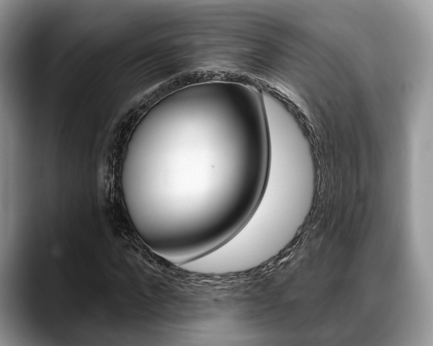 X0000088890872200706080804