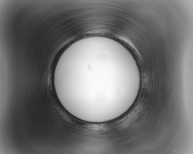 X0000088890874200706080804