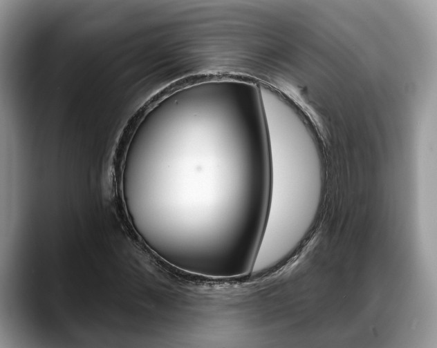 X0000088890876200706080804