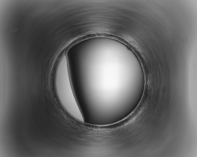 X0000088890877200706080804