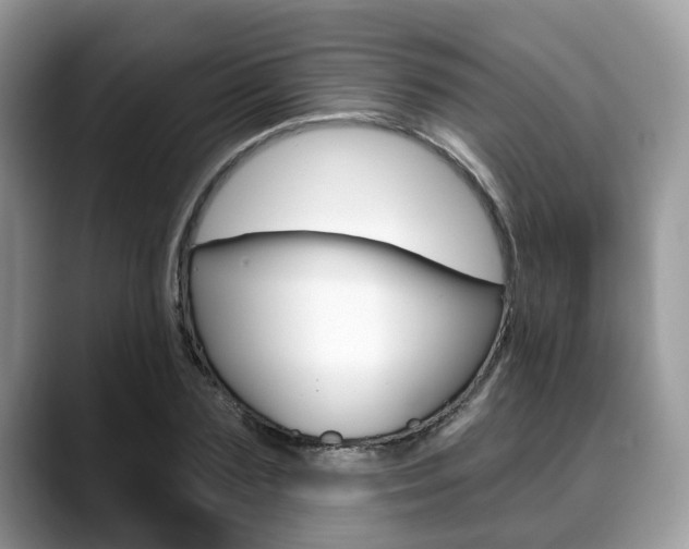 X0000088890883200706080804