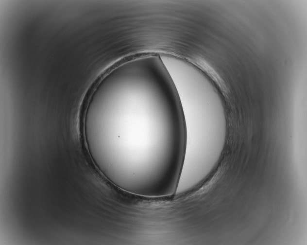 X0000088890884200706080804