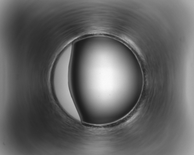 X0000088890885200706080804