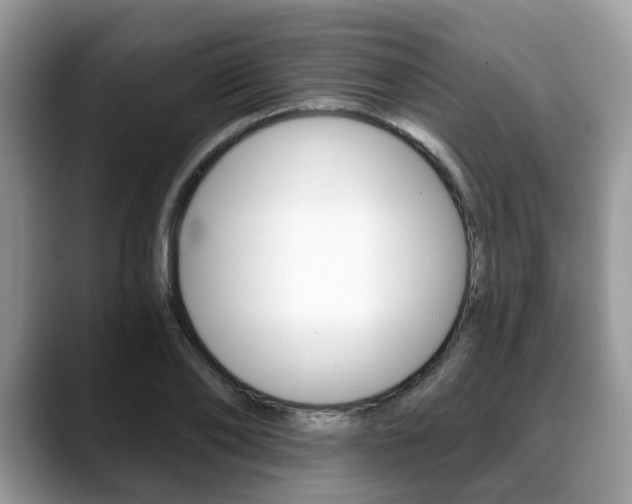 X0000088890886200706080804