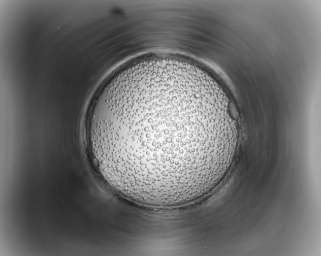 X0000088890887200706080804