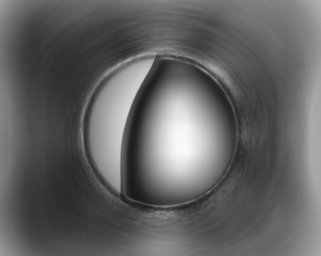 X0000088890888200706080804