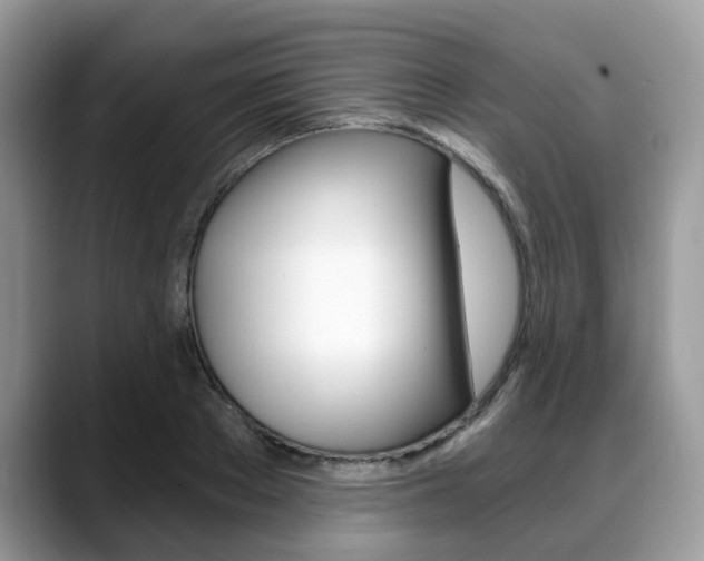 X0000088890889200706080804