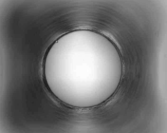 X0000088890890200706080804