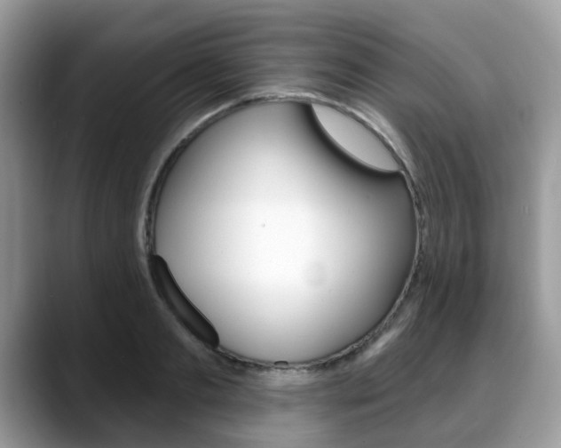 X0000088890893200706080804