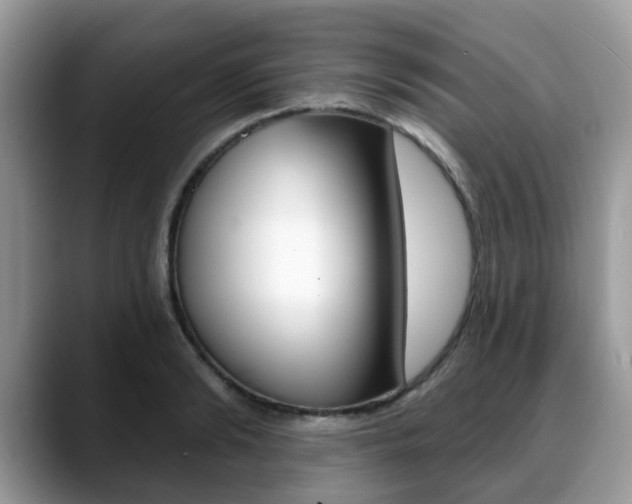 X0000088890894200706080804