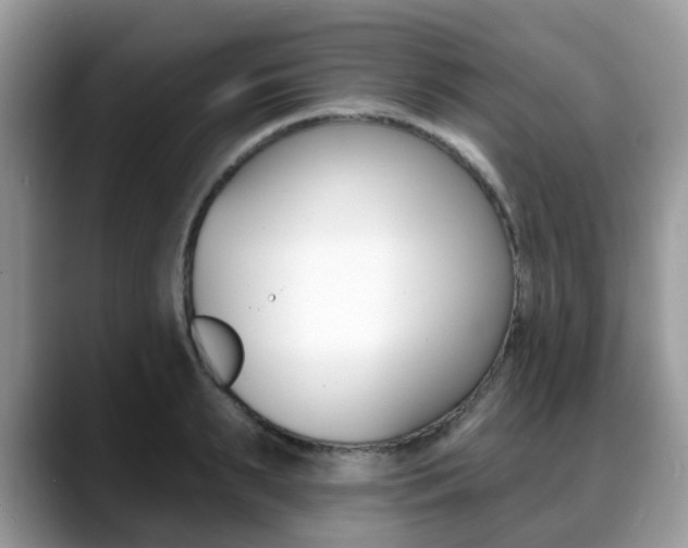 X0000088890895200706080804