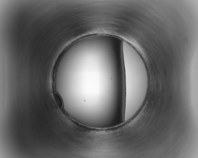 X0000088890896200706080804