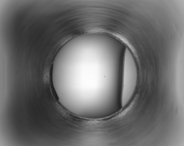 X0000088890897200706080804