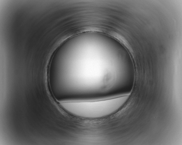 X0000088890898200706080804