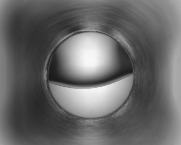 X0000088890900200706080804