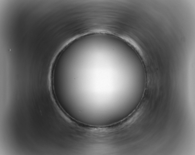 X0000088890902200706080804