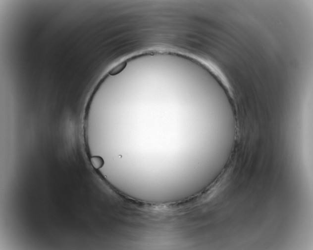 X0000088890903200706080804