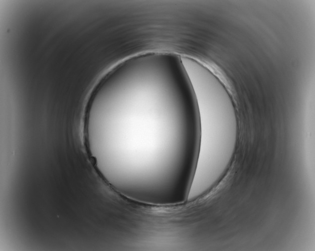 X0000088890904200706080804
