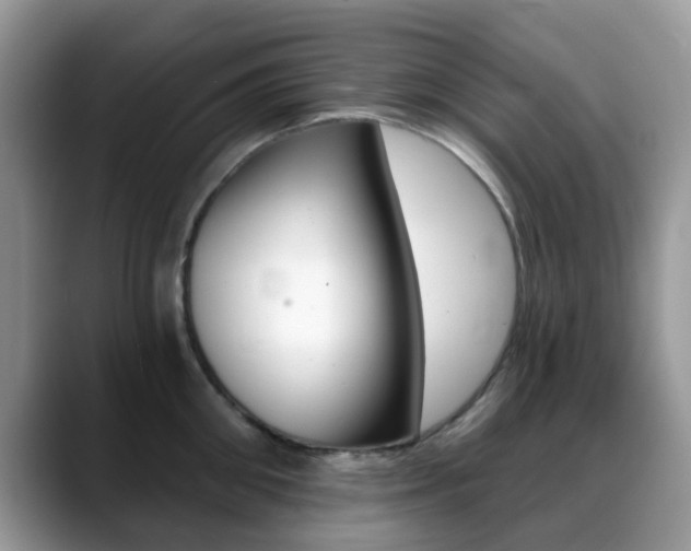 X0000088890906200706080804