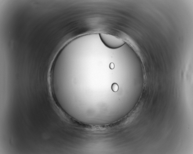 X0000088890907200706080804