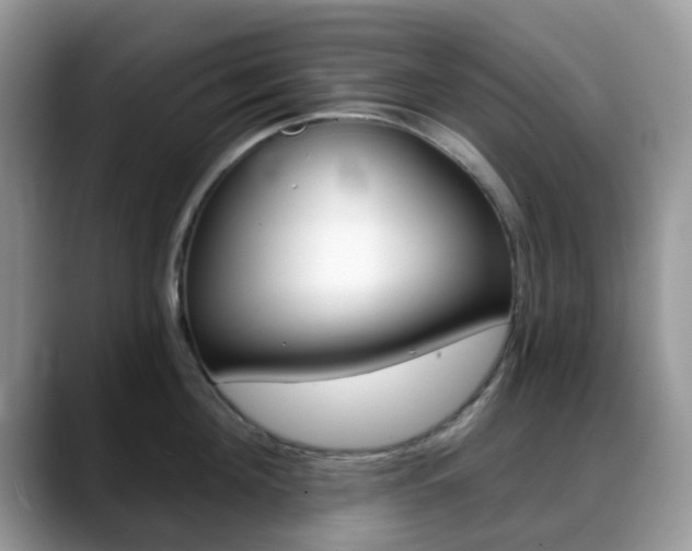 X0000088890908200706080804