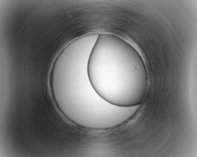 X0000088890909200706080804