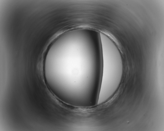 X0000088890910200706080804