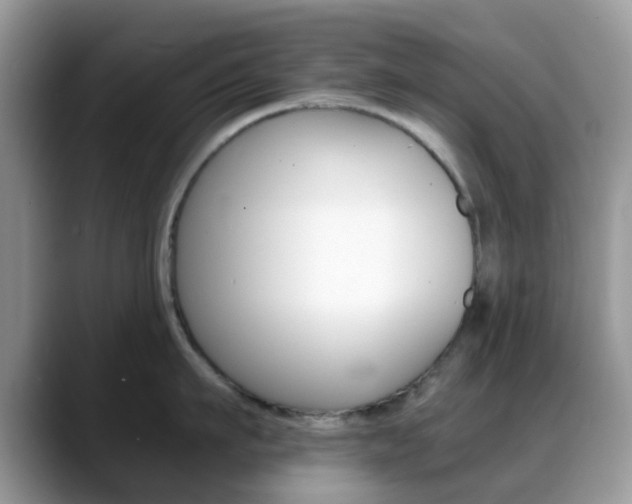 X0000088890911200706080804