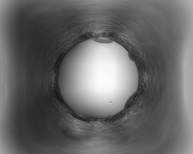 X0000088890914200706080803