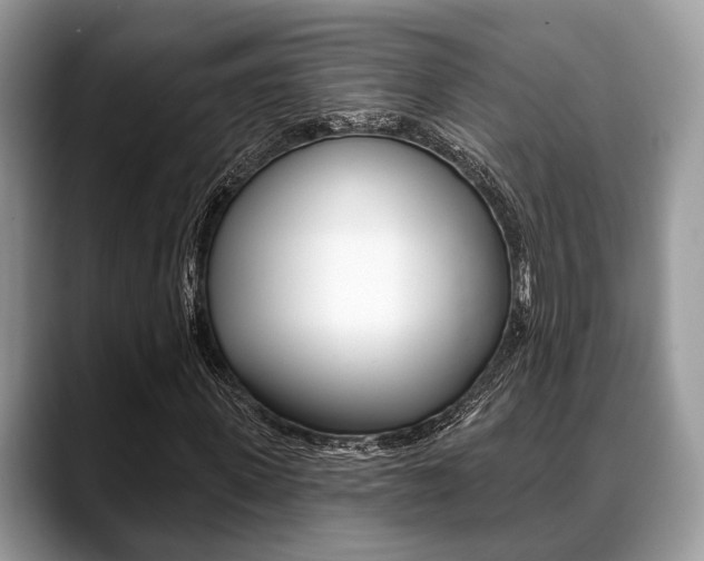 X0000088890915200706080803