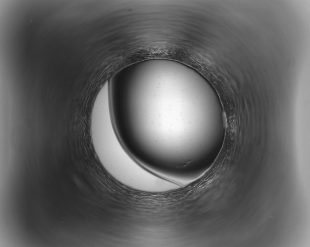 X0000088890916200706080803