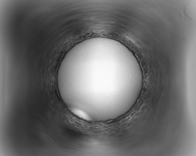 X0000088890917200706080803
