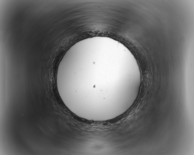 X0000088890918200706080803