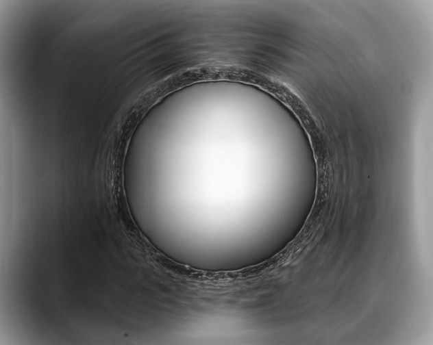 X0000088890919200706080803